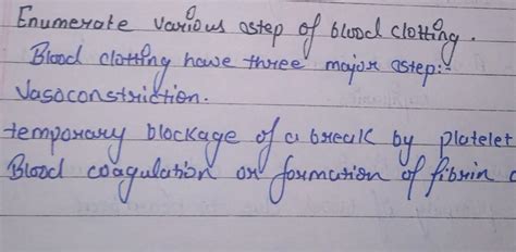 Enumerate various steps involved in blood clotting - Brainly.in