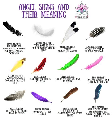 feather signs from angels | Feather meaning, Angel signs, Spirituality