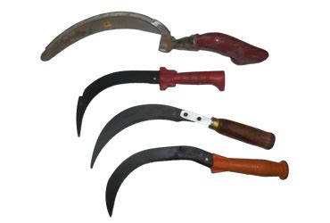 Sri Thirumurugan Traders | Our Product - Agriculture