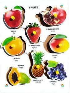 MECDOIT INTERNATIONAL Fruits Name With Coloured Image|Wooden ...
