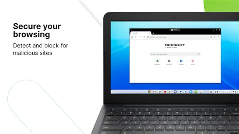 Webroot Browser 的图像结果