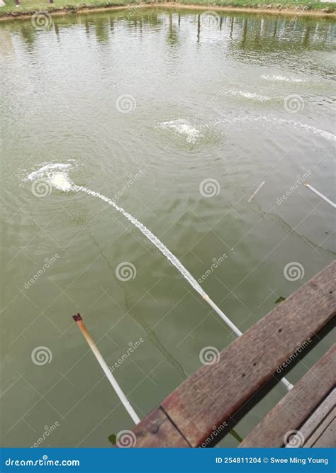 Image result for PVC Pipe Line