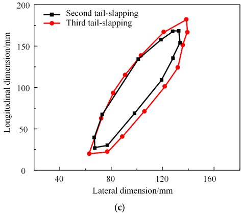 Experimental Investigation into the Tail-Slapping Motion of a ...