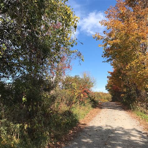ELLMS FAMILY FARM (2026) All You SHOULD Know Before Going (with Photos)