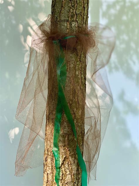 Lantern Fly Traps with Netting 的图像结果