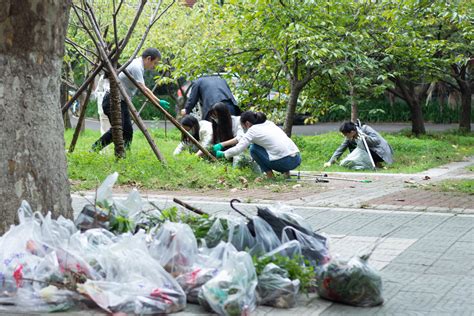 共建“洁净校园”环保志愿活动顺利结束 - 新闻 - 重庆大学新闻网
