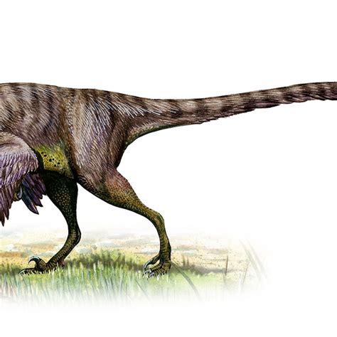 Velociraptor Walking With Dinosaurs