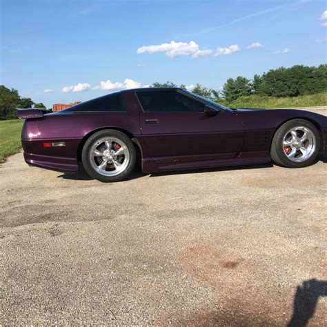 Image result for How to Cook Bob