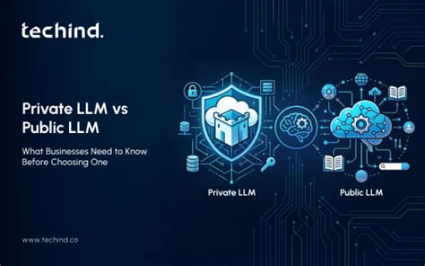 Private LLM vs Public LLM: What Businesses Need to Know Before Choosing ...