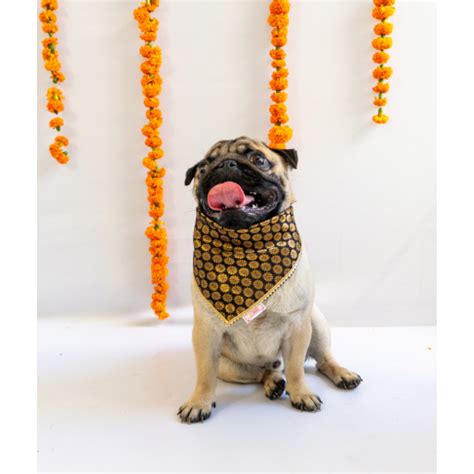 Buy Pawgypets Occasion Wear Bandana for Dogs and Cats (Teal Blue ...