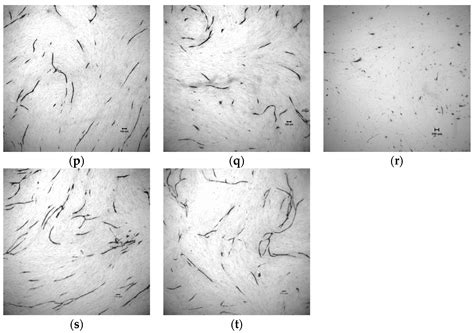 Synthesis and Evaluation of Novel 2-Pyrrolidone-Fused (2-Oxoindolin-3 ...