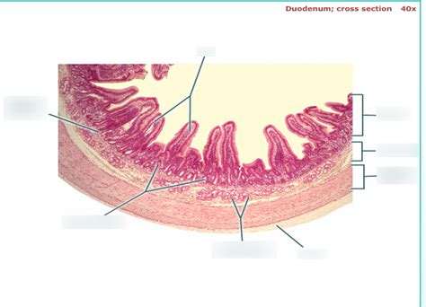 Image result for Example of Array Index in Data