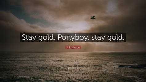 S. E. Hinton Quote: “Stay gold, Ponyboy, stay gold.”