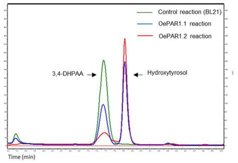 Identification and Functional Characterization of Genes Encoding ...