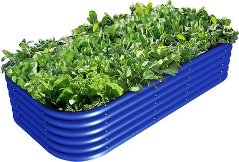 Olle 17 Tall 12-in-1 Upgrade Vegetable Garden Bed, Metal India | Ubuy
