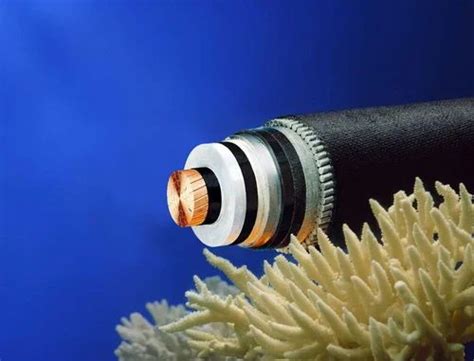 Image result for 1-Wire O2 Sensor Test