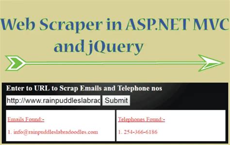 How to Build Web Scraper 的图像结果