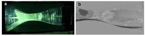Experimental Investigation Techniques for Non-Ideal Compressible Fluid ...