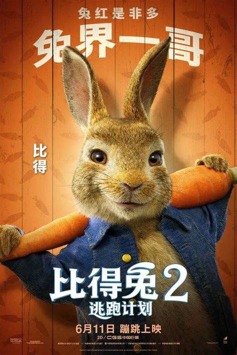 《比得兔2：逃跑计划》萌兔天团登场治愈不开心_娱乐频道_中华网