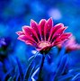 Image result for 3D Desktop Wallpaper Flowers HD Full Screen