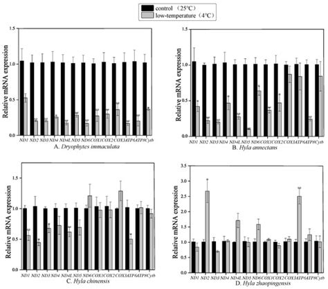Differential Mitochondrial Genome Expression of Four Hylid Frog Species ...
