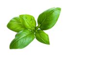 Philominas Food Products