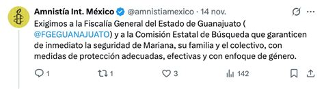 Caso Mariana Valeria Ibarra: fue hallada con vida y Amnistía ...