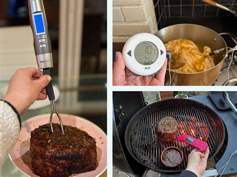 8 best meat thermometers, tested on Christmas feasts