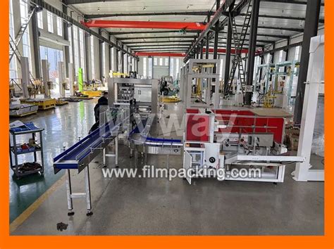 Rezultat imagine pentru Case Packer Types