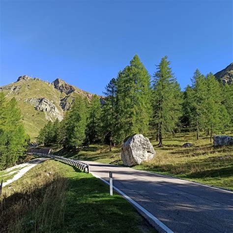 Statale 50 del Grappa e del Passo Rolle - UnserTirol24