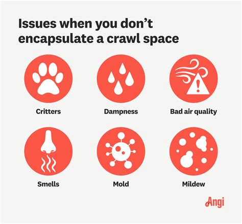 Image result for Problems with Crawl Space Encapsulation