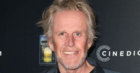 Gary Busey Pleads Guilty To Sex Crimes Charge After Convention 'Assault'