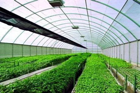 Silpaulin Tarpaulins, Hdpe Tarpaulins, Ldpe Polythene Film, Srf Nylon ...