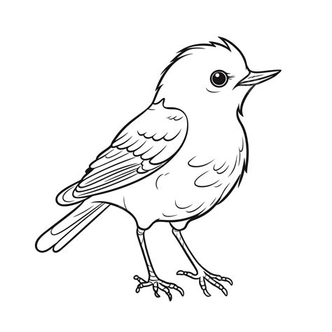 Bird Outline Coloring Pages Simple Drawing Chickadee Template Easy Silhouette Drawings Printable ...