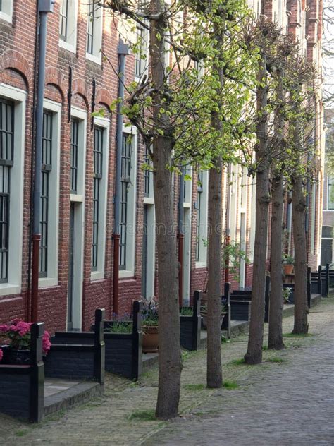 Row of Buildings Front View 的图像结果