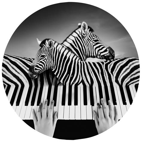 Xibiao Huang Photography Prints | Asianmonk