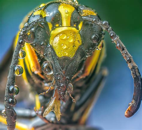 Big Smiley Face Photos, Download The BEST Free Big Smiley Face Stock ...