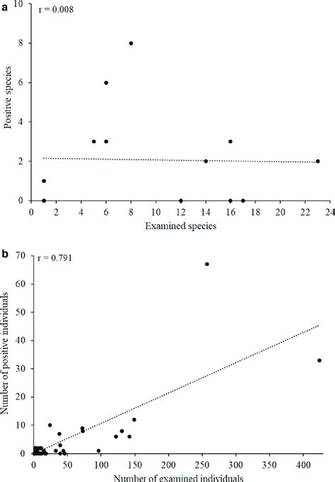 Image result for Correlation and Regression Examples