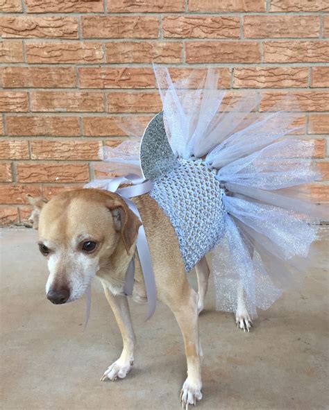 Shark Costume for Dogs, Dog Costume, Halloween Ideas, Dog Tutu, Dog ...