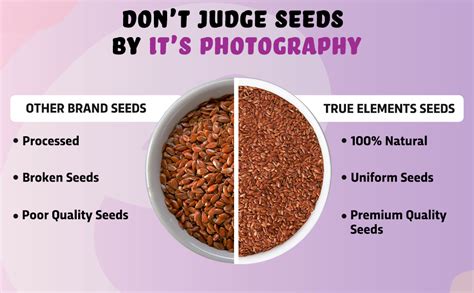 True Elements Flax Seeds Raw 1kg