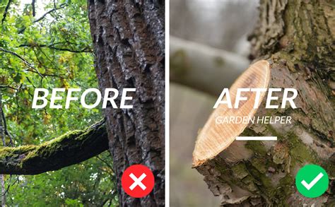 DAP Pruning Saw With Pole Fixing Slot | Curved Blade Hand Saw ...