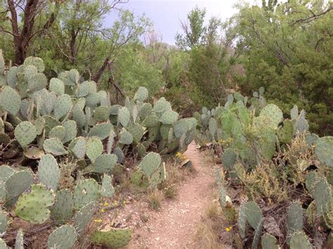 Big Spring, TX Map & Directions - MapQuest