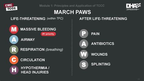 Image result for March Algorithm Tccc Hand Out
