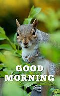 Image result for Good Morning Funny Animated Animals