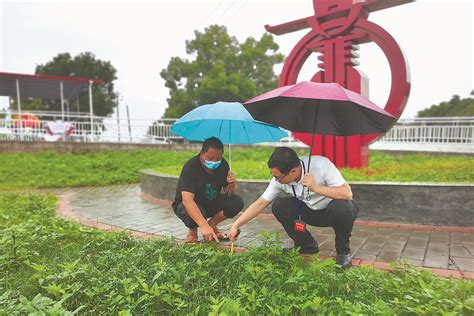 巡察到村里权力全公开——聚焦村级巡察的“连城实践”_新闻频道_厦门网