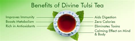 Eco Valley Organic Green Tea - Divine Tulsi - 25 Tea Bags | Certified ...