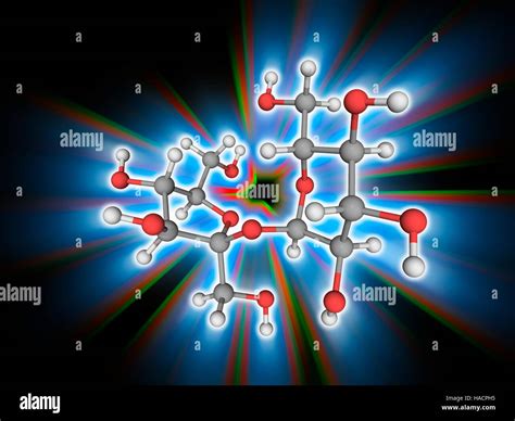 A molecular model of sucrose hi-res stock photography and images - Alamy