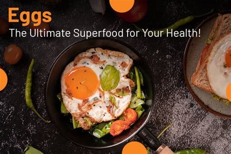 Eggs: A Superfood for Health and Everyday Life – Eggoz
