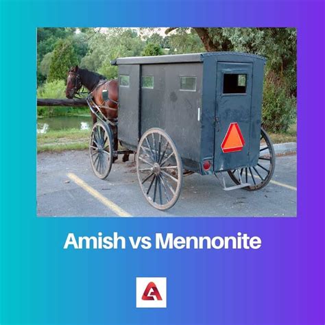 Amish vs Mennonite: Difference and Comparison