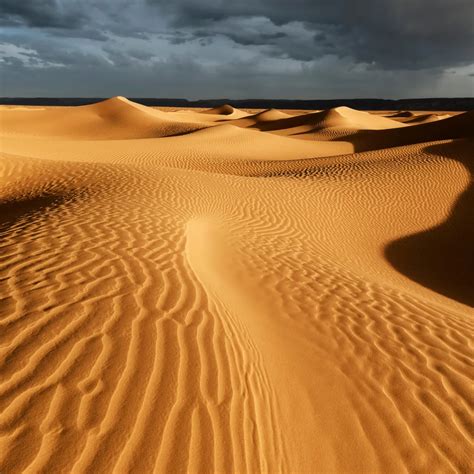 Sahara Desert Facts